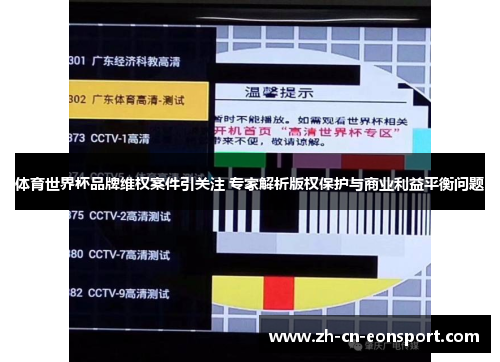 体育世界杯品牌维权案件引关注 专家解析版权保护与商业利益平衡问题