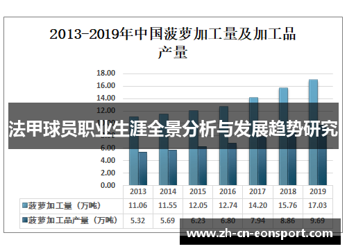 法甲球员职业生涯全景分析与发展趋势研究