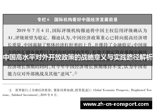 中国高水平对外开放政策的战略意义与实践路径解析