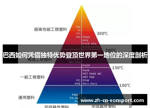 巴西如何凭借独特优势登顶世界第一地位的深度剖析
