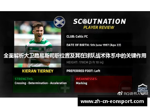 全面解析大卫路易斯司职位置及其在球队战术体系中的关键作用 全面解析大卫路易斯司职位置及其在球队战术体系中的关键作用